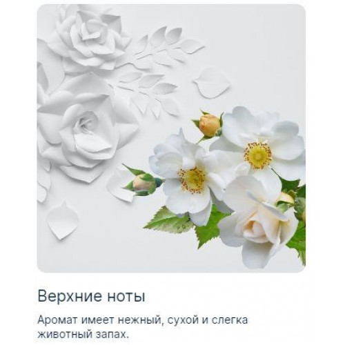 Pure Musk Пюр Муск 100 мл.