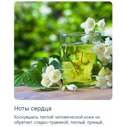 Pure Musk Пюр Муск 100 мл.