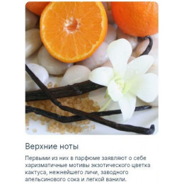 Hayati Gold Elixir Хаяти Голд Эликсир 100 мл.