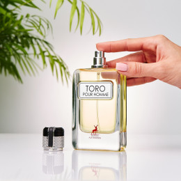 Spray Toro Pour Homme 100ml