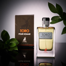Spray Toro Pour Homme 100ml