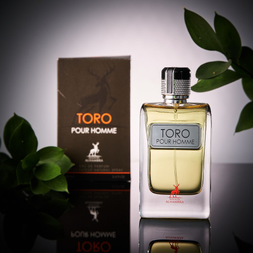 Spray Toro Pour Homme 100ml