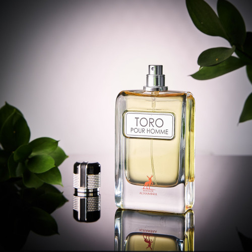Spray Toro Pour Homme 100ml