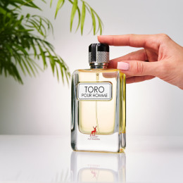 Spray Toro Pour Homme 100ml