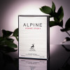 Alpine Homme Sport Алпайн Хомм Спорт 100 мл.