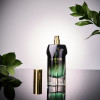 Spray Glacier Bold 100ml
