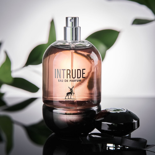 Intrude Интруд 100 мл.