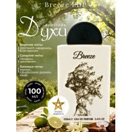 Парфюм Breeze Бриз 100 мл
