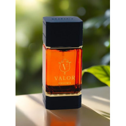 Парфюм Valor Enigma Валор Энигма 100 мл