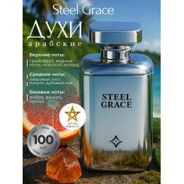 Парфюм Steel Grace Стил Грэйс 100 мл.