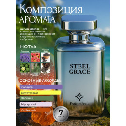 Парфюм Steel Grace Стил Грэйс 100 мл.