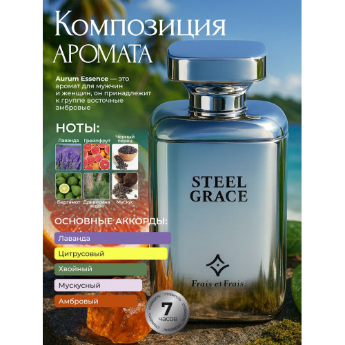 Парфюм Steel Grace Стил Грэйс 100 мл.