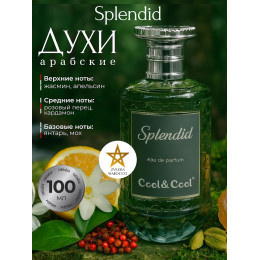 Парфюм Splendid Сплендид 100 мл.
