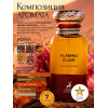 Maison Alhambra Flaming Elixir Флэминг Эликсир 80мл