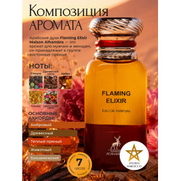 Maison Alhambra Flaming Elixir Флэминг Эликсир 80мл