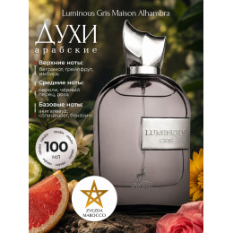 Luminous Gris Луминэс Грис 100 ml.
