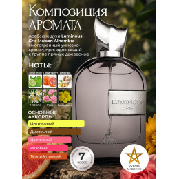 Luminous Gris Луминэс Грис 100 ml.